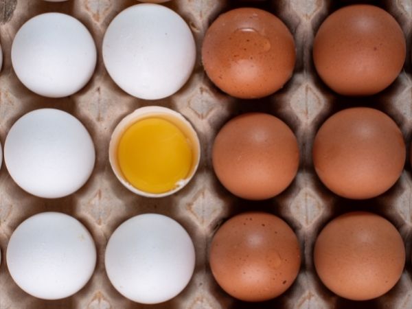 Dlaczego powinieneś włączyć jajka do swojej codziennej diety
